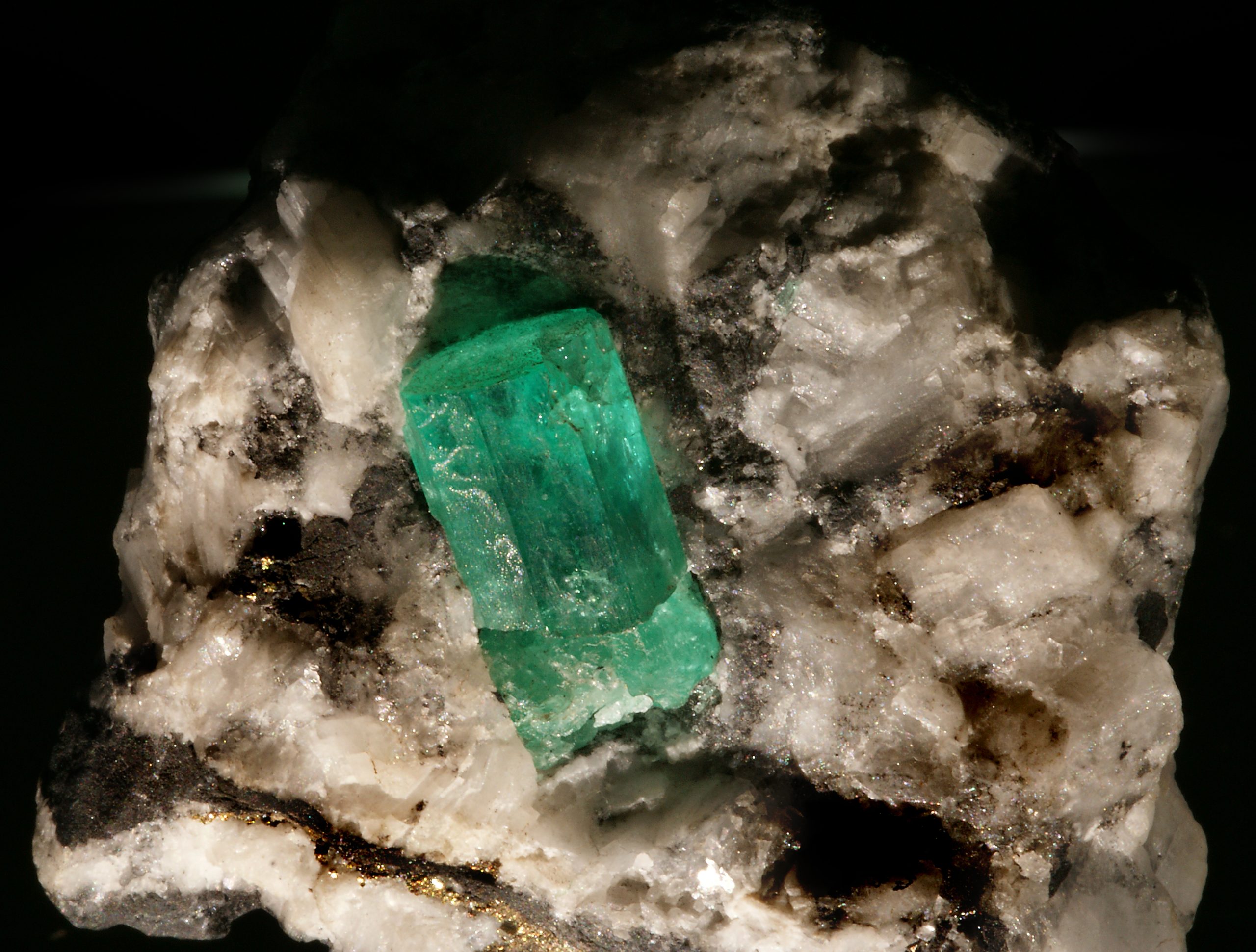 Cristal d'émeraude vert vif dans sa gangue de calcite blanche, mine de Muzo, Colombie. Photo Didier Descouens, Wikimedia Commons, CC BY-SA 3.0.